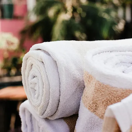 Apartment Chaleureuse Echappee : Commodites, Calme, Confort